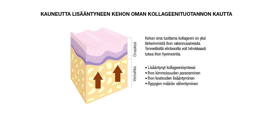 ”TIETOA KOLLAGEENISTA, SKIN COLLAGEN KÄYTTÖ